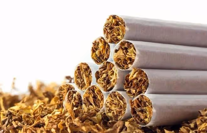 吸菸的真相!尼古丁可延緩衰老!吸菸或是長壽的密碼?