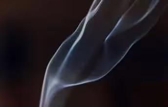 吸菸的真相！尼古丁可延緩衰老！吸菸或是長壽的密碼？