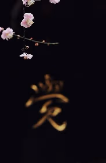 人生中,這些比生死還重要的事,你知道幾件?