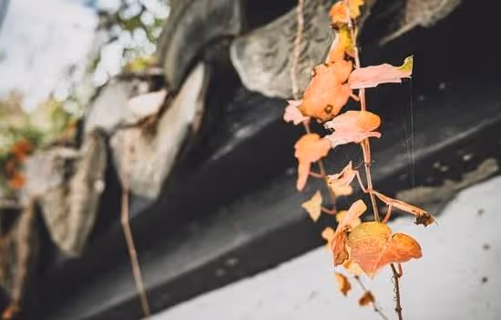 人生中,這些比生死還重要的事,你知道幾件?