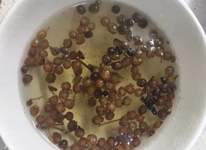 不論男女,堅持用花椒泡水喝,好處可能悄然而至,給你帶來驚喜