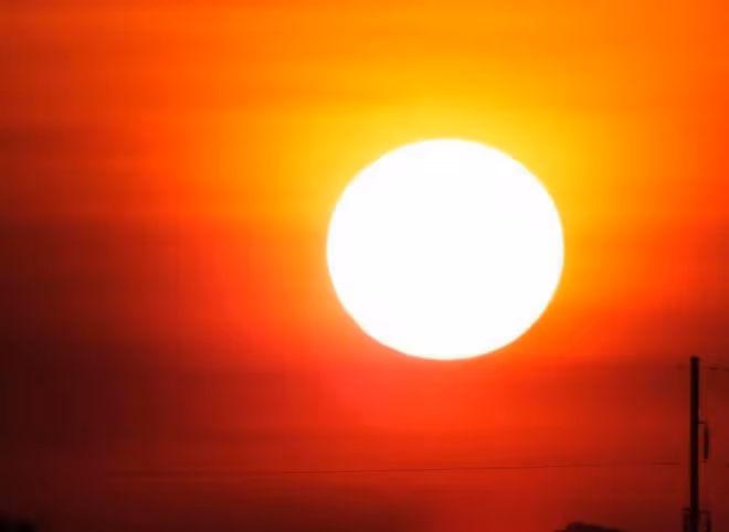 2024年夏天熱到哭?看看老祖宗留下的農諺咋說,提前做好防備!
