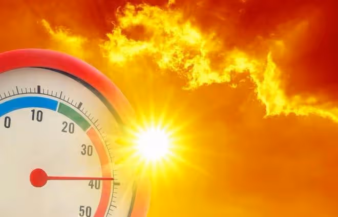 2024年夏天熱到哭?看看老祖宗留下的農諺咋說,提前做好防備!