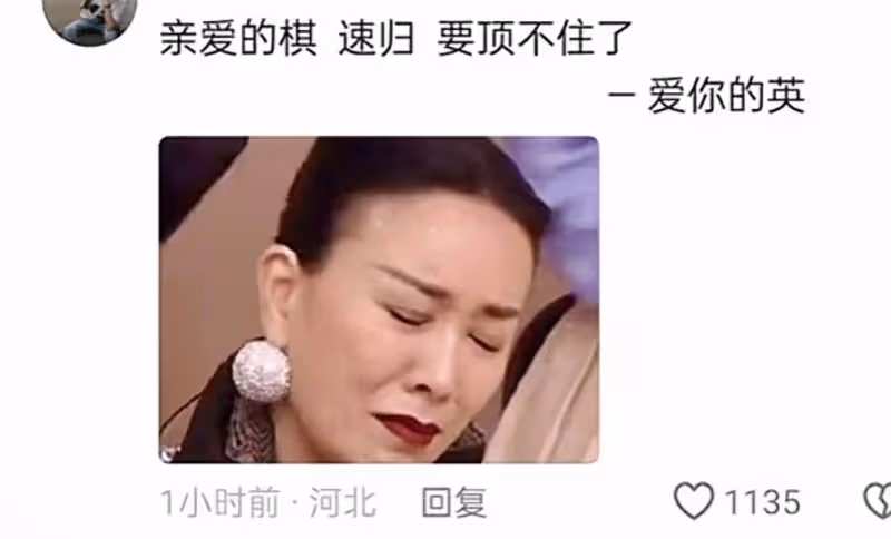 《歌手2024》爆火,湖南衛視笑了,那英愁了,評論區炸了
