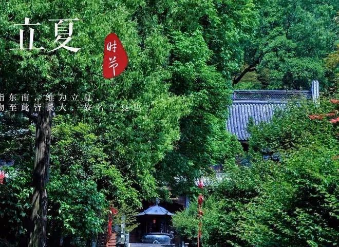老人說「立夏3不吃,一年病不沾」,到三伏天之前要懂得忌口!
