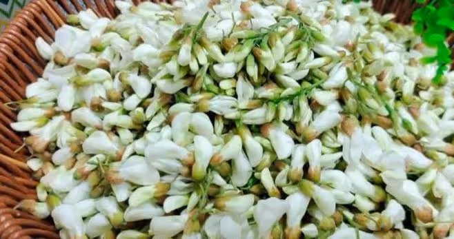 維生素C是蘋果的10倍!這種花營養豐富又鮮美,現在吃正好