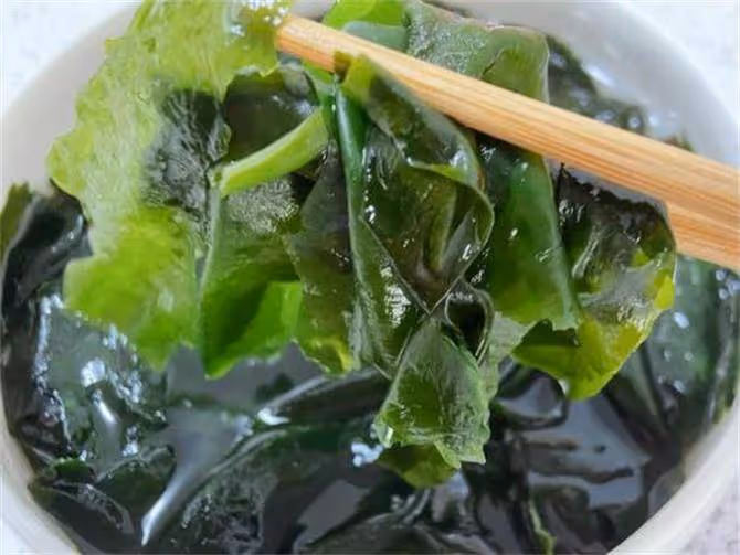 裙帶菜和海帶,到底誰才是「海藻之王」?哪個營養價值高?