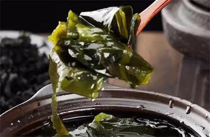 裙帶菜和海帶,到底誰才是「海藻之王」?哪個營養價值高?