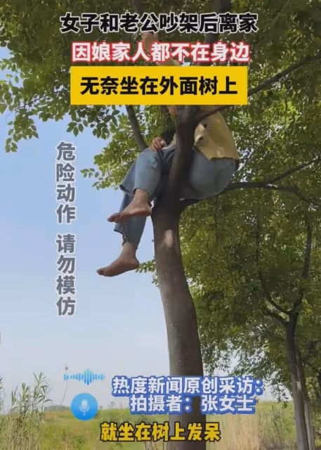 遠嫁女子和老公吵架離家,因娘家人都不在身邊,無奈在樹上坐一夜
