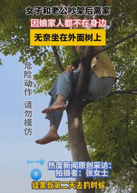 遠嫁女子和老公吵架離家,因娘家人都不在身邊,無奈在樹上坐一夜