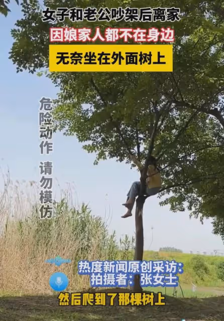 遠嫁女子和老公吵架離家,因娘家人都不在身邊,無奈在樹上坐一夜