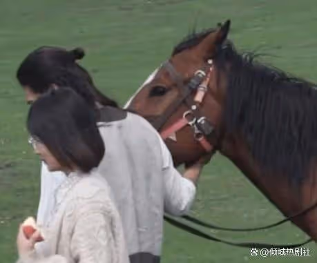 離大譜了,《我的阿勒泰》結局,是我今年看過最令人傷心的大結局