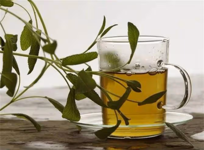 茶葉水可以澆花嗎?澆什麼花比較合適?