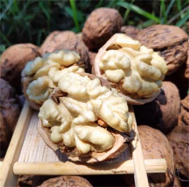 青皮核桃怎麼去皮?皮不好去怎麼辦?教你去青皮的準確方法