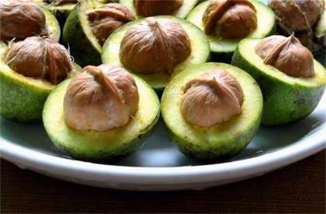 青皮核桃怎麼去皮?皮不好去怎麼辦?教你去青皮的準確方法