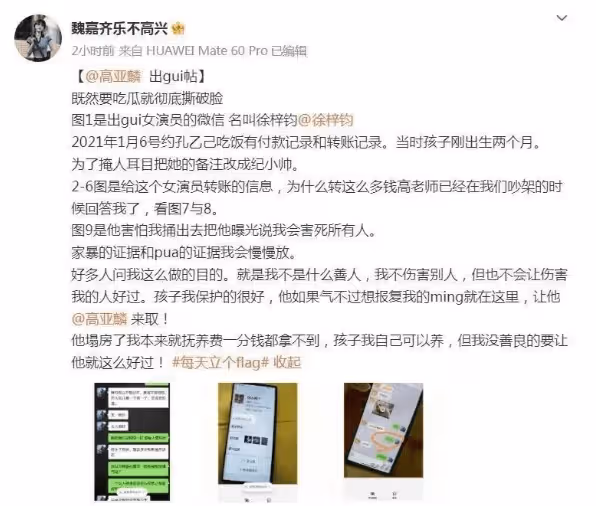 高亞麟最新進展,娛樂圈亂不亂?高亞麟說了算,或會拉更多人下水