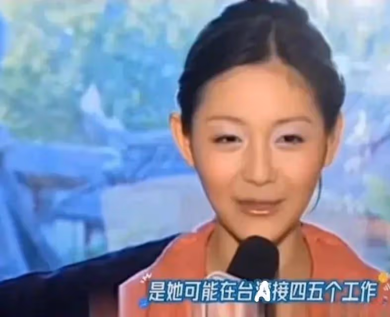 大S計劃轉戰內娛:為了得到機會,可能會高風亮節自降身價