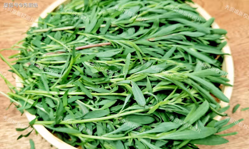 5月這菜金不換,遇見抓緊吃!鮮嫩營養,全身是寶,上鍋一蒸真香