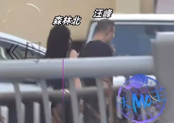 曝汪峰新戀情!女方是小19歲離異女網紅,長相酷似三星李富真!
