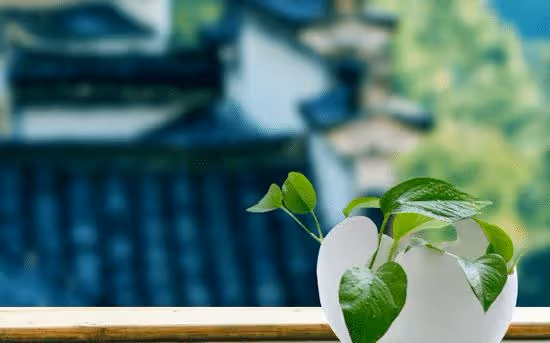 人這輩子,學會不在意,你就贏了!(建議收藏)