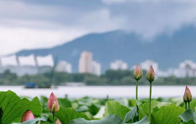 人這輩子,學會不在意,你就贏了!(建議收藏)