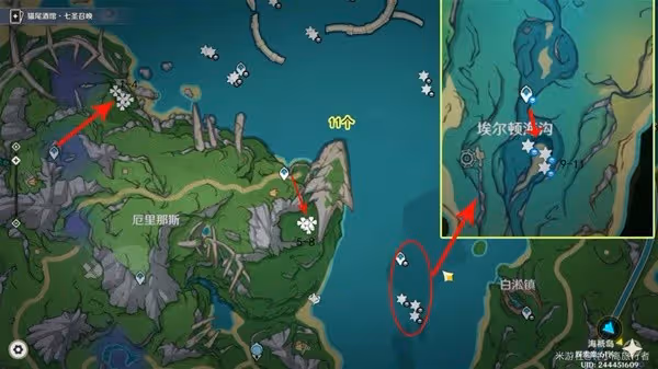 《原神》海露花採集路線推薦