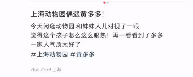 孫莉帶兒女出遊，多多氣質佳弟弟超帥氣，10歲多妹身高超媽媽肩膀