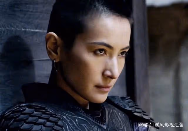 陳麗君浪姐5出圈,慶餘年作者想請她演男主,長相絕美宛如仙人!