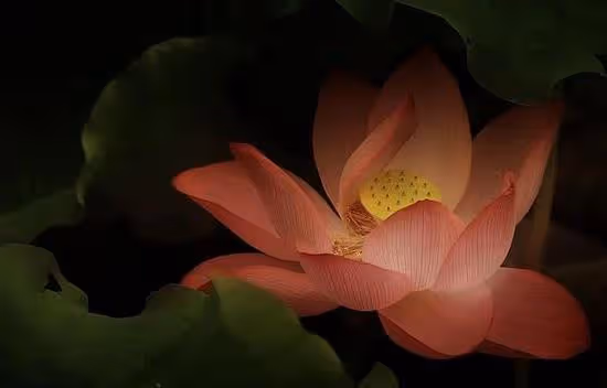 得到是福，失去是緣，世間一切皆是命中注定！