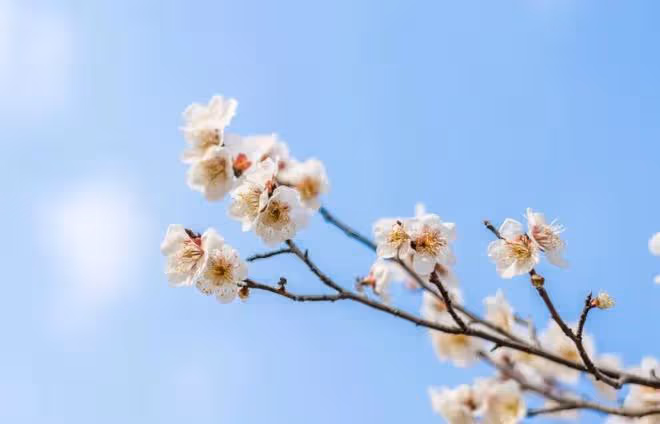 啥叫「做人」?這才是!(精闢)