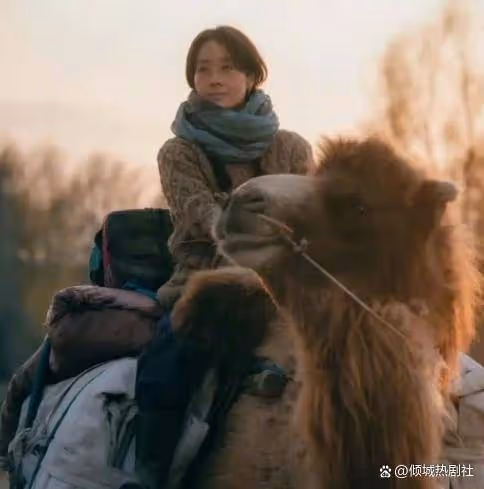 馬伊琍做夢都不敢想,《我的阿勒泰》剛剛開播,自己口碑會暴漲