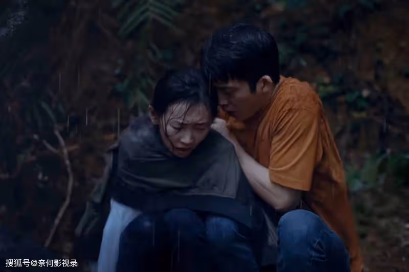 《新生》看懂費可坐牢後,何珊很快移情別戀,才明白費可被騙了