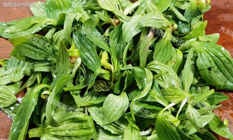 5月遇見它使勁吃,一清肺,二祛痰,三明目,四通便,蒸一蒸真香