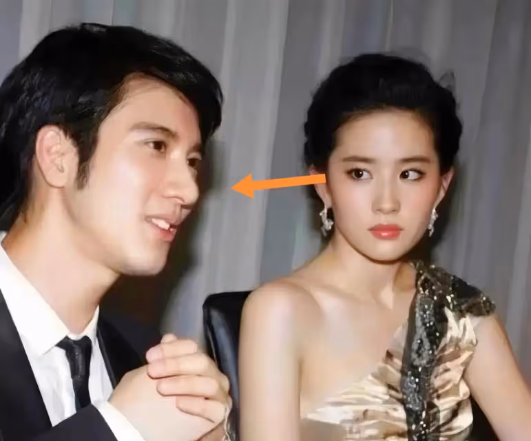 劉亦菲看王力宏眼神滿滿「嫌棄」?下秒攝影師震撼「視角」:他那「手勢」更嚇人