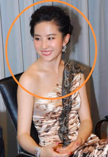 劉亦菲看王力宏眼神滿滿「嫌棄」?下秒攝影師震撼「視角」:他那「手勢」更嚇人