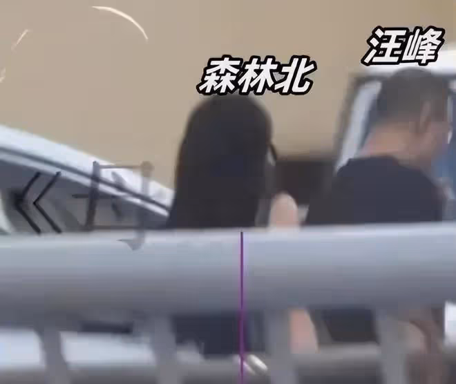 又吃一大瓜!汪峰新戀情曝光,小19歲女友竟然是森林北,網友氣瘋
