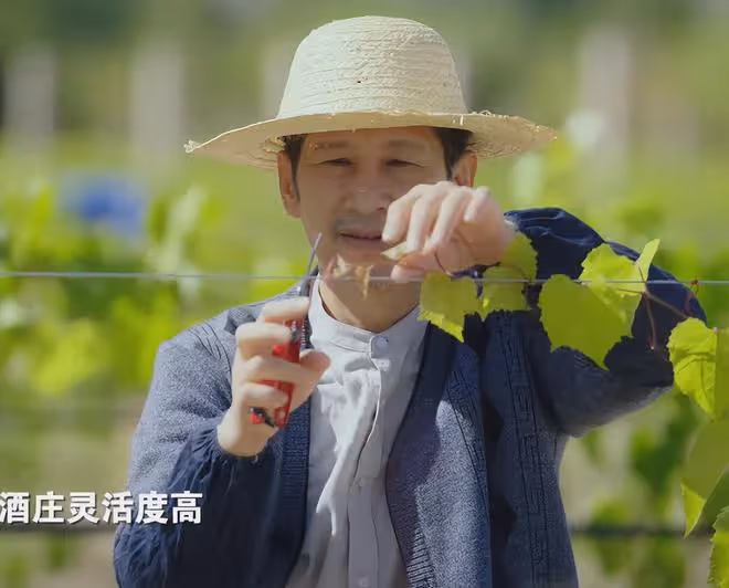 央視《星星的故鄉》首播，看1集後，我要說：央視這回又押對了寶