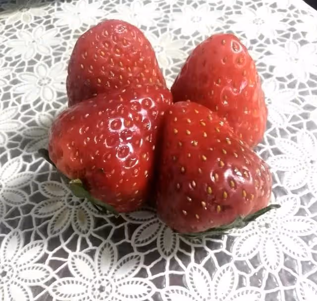 吃一次成都川菜館,才知道為啥有人黑川菜了,川菜真回不去了嗎