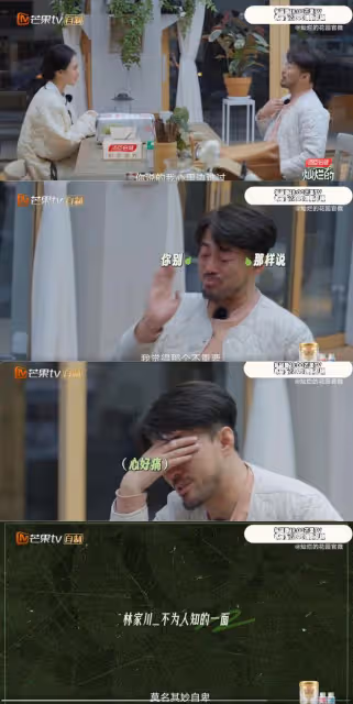 《燦爛的花園》姜珮瑤一句話使林家川痛哭,並陷入深深地悲傷中