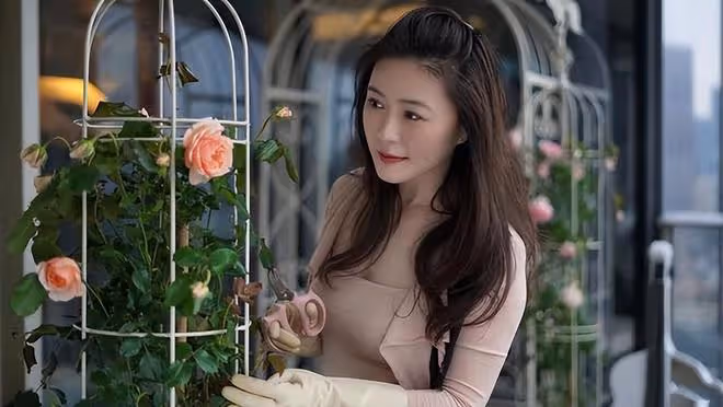 46歲田海蓉真會扮嫩!穿粉衣打扮得像26歲,優越身材真令人羨慕