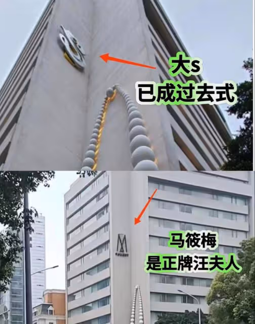 「告命夫人」大S已起訴汪小菲17次,不將M改成S,大S誓不罷休!