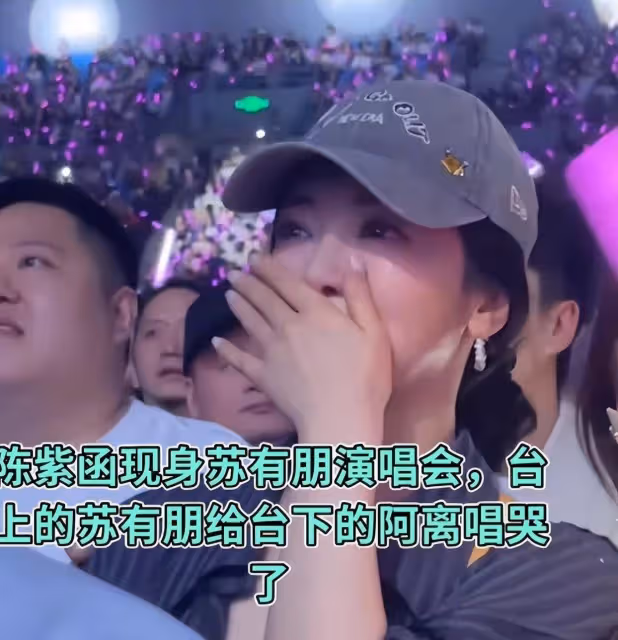 蘇有朋演唱會:周芷若和小昭重逢,網友卻被珠兒驚艷到了