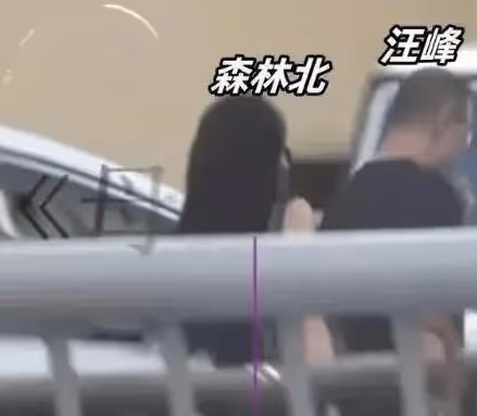 汪峰疑似有了新戀情!女方離異育有一女,與章子怡一雙兒女相處和諧?
