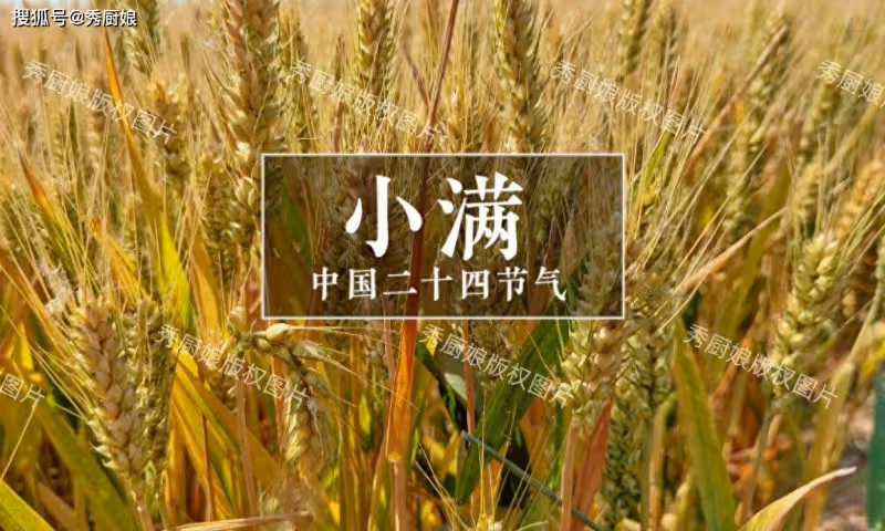 5月20日小滿,老人說「小滿吃3寶,不往醫院跑」,這「3寶」指啥