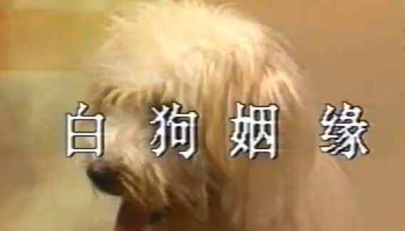 回顧《濟公活佛》1989年版楊潔導演僅執導兩集,片尾或藏答案!