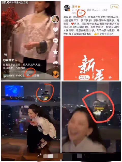 汪峰小19歲新女友身份曝光,氣質出眾撞臉章子怡,過年就在一起