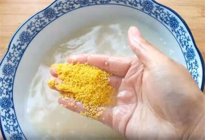 小米粥好吃有秘訣,記住這4步,保證熬出的粥香甜濃稠,米油厚