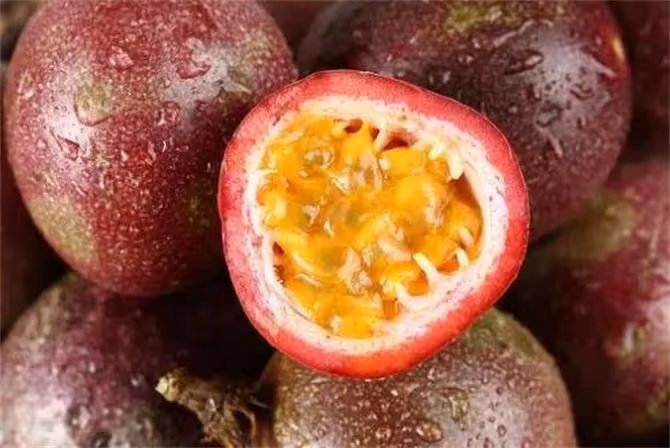 百香果為什麼叫禁忌之果?到底是什麼原因?