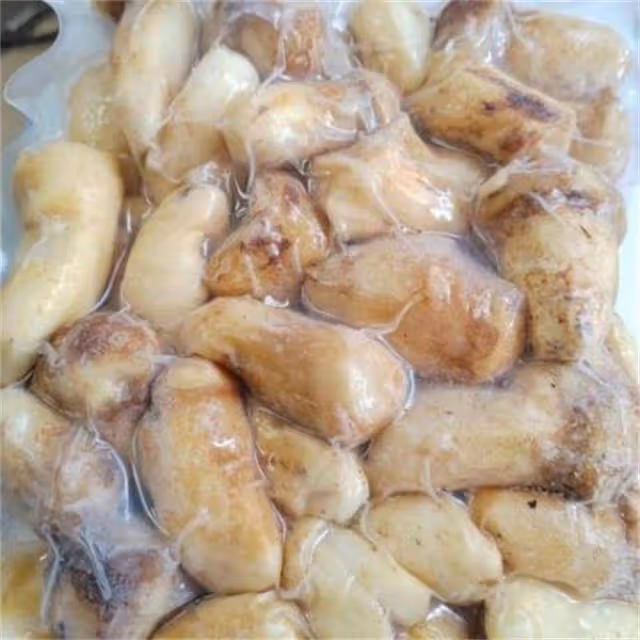 松茸怎樣冷凍保鮮?松茸保存方法大揭秘,讓你隨時享受美味