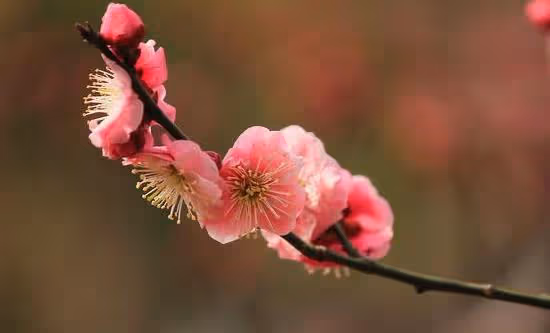 有一種緣盡，叫「斷聯」！（心酸）